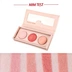 Private Label Blush Pallet