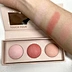 Private Label Blush Pallet