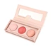 Private Label Blush Pallet High Quality Blush